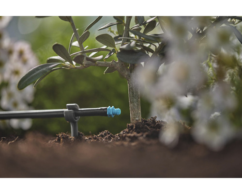 Systém kvapkovej závlahy na rastline v záhrade