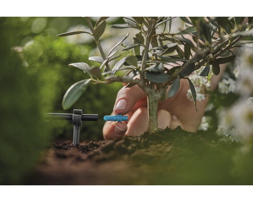 Detailný záber inštalácie zavlažovacieho systému na rastlinu v záhrade