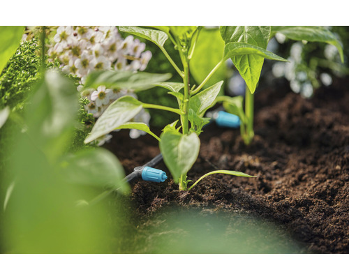 Zavlažovací systém v záhrade s rastlinami