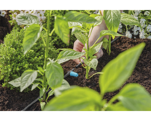 Inštalácia zavlažovacieho systému pre rastliny v záhradnom záhone