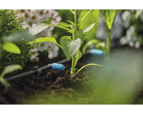 Kvapkový zavlažovací systém v záhrade s rastlinami a kvetmi