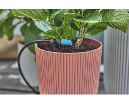 Detailný záber črepníkovej rastliny so zavlažovacím systémom pre izbové rastliny