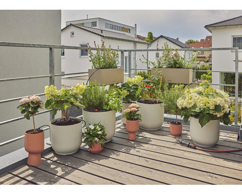 Balkónová scéna s rôznymi rastlinami a kvetináčmi na drevenej podlahe