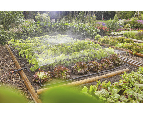 Zeleninová záhrada so zavlažovacím systémom pre rastliny