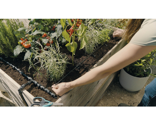 Vyvýšený záhon so zeleninou a zavlažovacím systémom