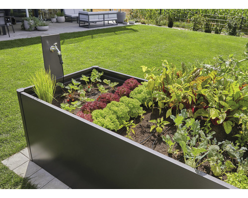 Vyvýšený záhon s rôznou zeleninou a vodovodným kohútikom v záhrade.