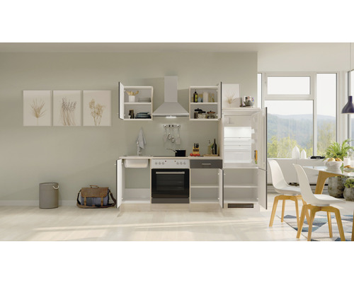 Moderná kuchyňa s umývadlom, sporákom, rúrou, digestorom, chladničkou a závesnými skrinkami vo svetlej miestnosti.