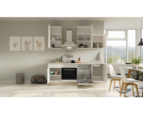 Kuchynská linka so závesnými skrinkami, drezom, umývačkou riadu a rúrou vo svetlej izbe