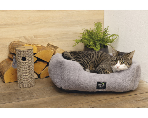 Mačka leží v sivej mačacej posteli vedľa škrabadla.