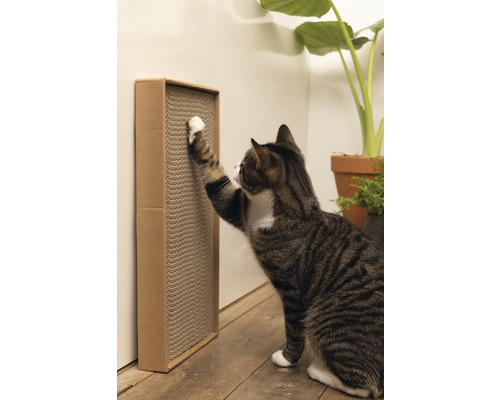 Mačka škrabe kartónový škrabací stĺpik na stene
