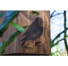 Vtáčia búdka borovicová Dobar „Drozd“ 19 x 20 x 38 cm-thumb-4