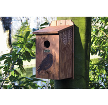 Vtáčia búdka borovicová Dobar „Drozd“ 19 x 20 x 38 cm-thumb-3