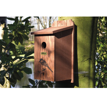 Vtáčia búdka borovicová Dobar „Sýkorka“ 17 x 18 x 35 cm-thumb-2