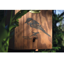 Vtáčia búdka borovicová Dobar „Sýkorka“ 17 x 18 x 35 cm-thumb-4