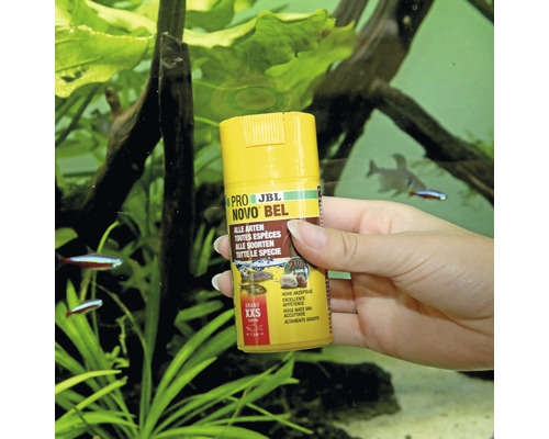 Osoba drží dózu JBL Pro Novo Bel krmiva pre ryby pred akváriom