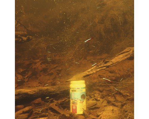 Krmivo pre ryby JBL Novo Neon v akváriu