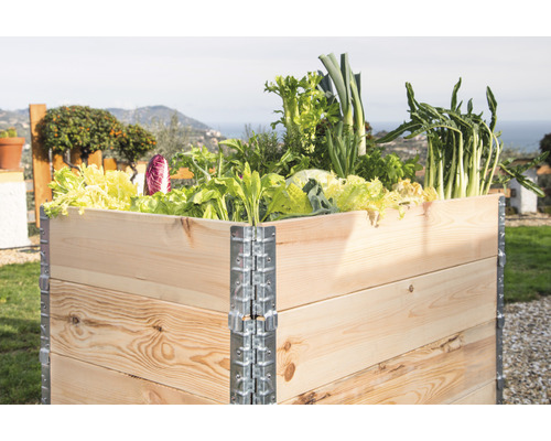 Drevený vyvýšený záhon s rôznou zeleninou