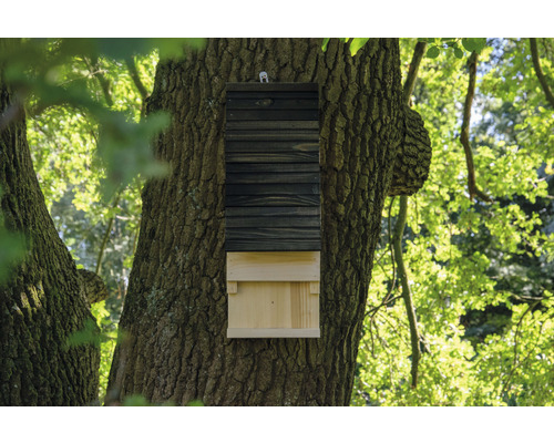 Drevená búdka pre netopiere pripevnená na strome.