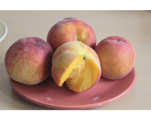 Štyri broskyne na tanieri, jedna z nich narezaná