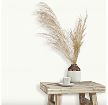 Vliesová tapeta 10335-01 Elle Decoration 3 uni biela 10,05 x 0,53 m
