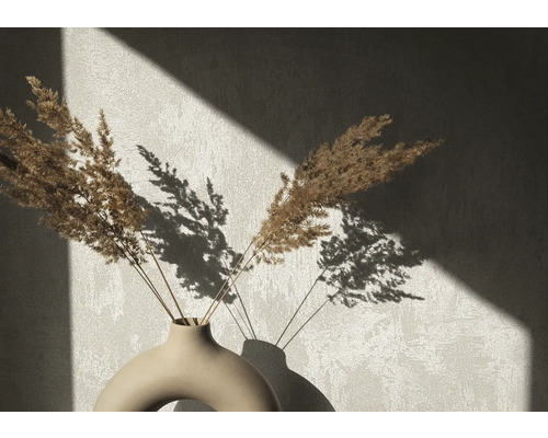 Dekoratívne sušené kvety vo váze s vrhnutým tieňom na stene