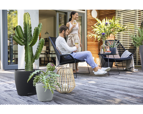 Scéna s rastlinami v kvetináčoch, sedacím nábytkom a relaxujúcimi ľuďmi na terase