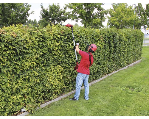 Osoba strihá živý plot pomocou akumulátorových nožníc na živý plot s teleskopickou rukoväťou.