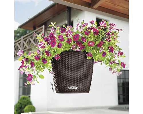 Závesný kvetináč s fialovými petúniami v hnedej plastovej nádobe