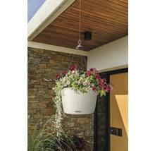 Závesný kvetináč s farebnými kvetmi pred stenou domu