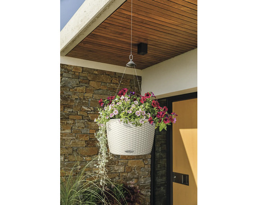 Závesný kvetináč s farebnými kvetmi pred stenou domu