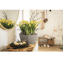 Dekoratívny interiér s narcismi v kvetináči, hniezdo s veľkonočnými vajíčkami a zrkadlo v chodbe