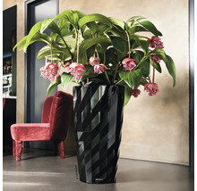 Čierny kvetináč Lechuza s rastlinou a červeným kreslom