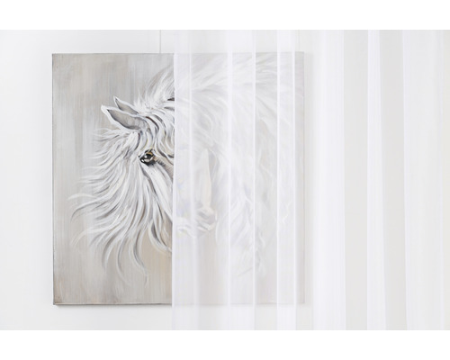 Obraz s motívom koňa a priehľadný záves