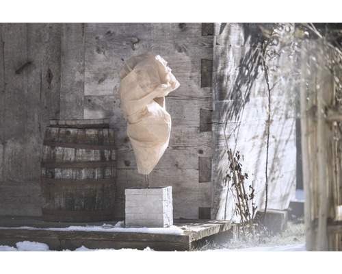 Zabalená rastlina v zimnej záhrade s dreveným pozadím