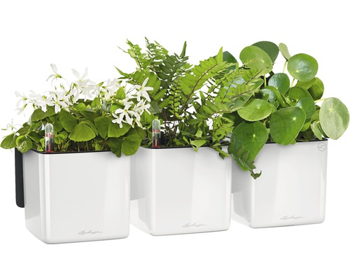 Tri biele kvetináče s rôznymi rastlinami a indikátormi zavlažovania