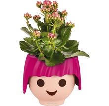 Kalanchoe rastlina v kvetináči Lechuza s tvárou