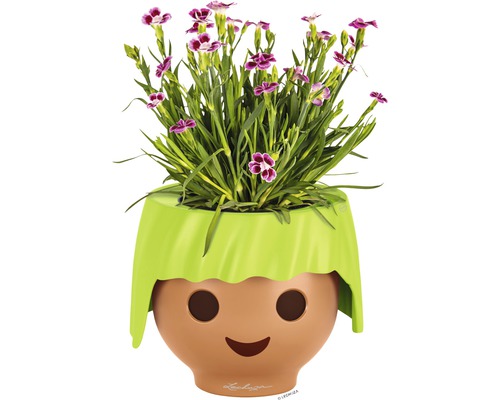 Kvetináč hravého dizajnu s kvitnúcou rastlinou