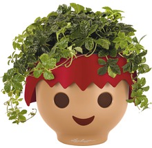 Kvetináč Lechuza so zelenou rastlinou v tvare tváre