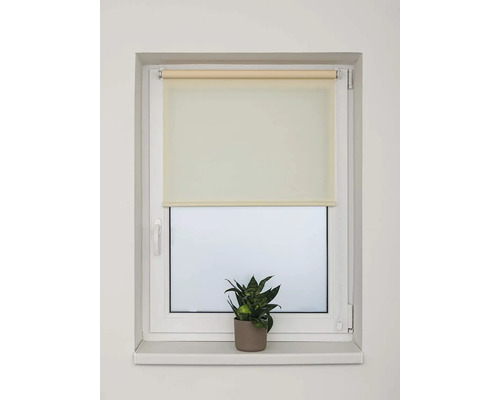 Okno s roletou a izbovou rastlinou