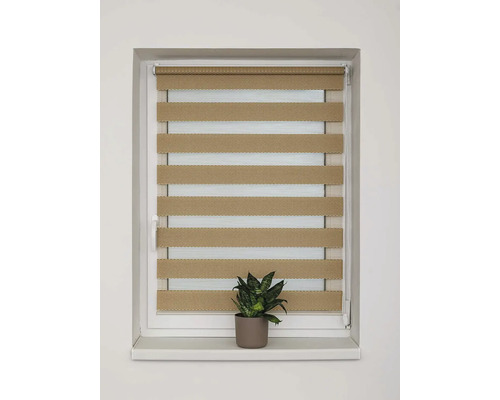 Dvojitá roleta v okne s izbovou rastlinou na okennom parapete