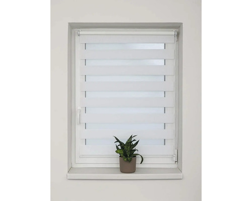 Okno s dvojitou roletou a izbovou rastlinou