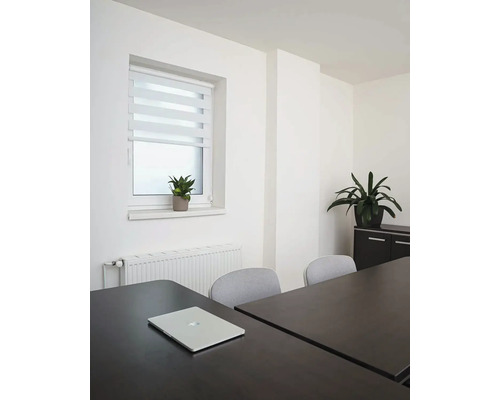 Kancelárska miestnosť so stolom, stoličkami, oknom s roletou a izbovými rastlinami