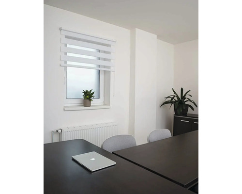 Kancelárska miestnosť s oknom, roletou, stolom a kancelárskymi rastlinami