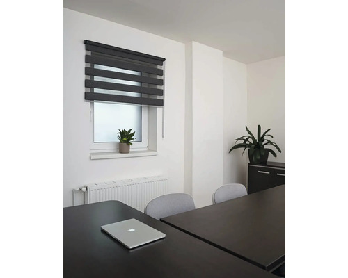 Scéna s oknom so sivou roletou duo, notebookom na tmavom stole a kancelárskymi rastlinami.