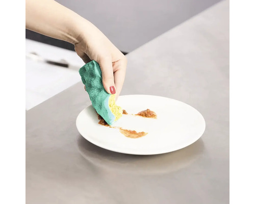 Ruka čistí tanier umývacou hubkou.