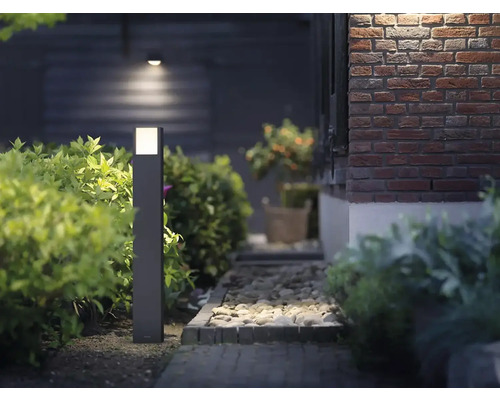 Záhradný chodník s vonkajším osvetlením, obklopený rastlinami a kameňmi