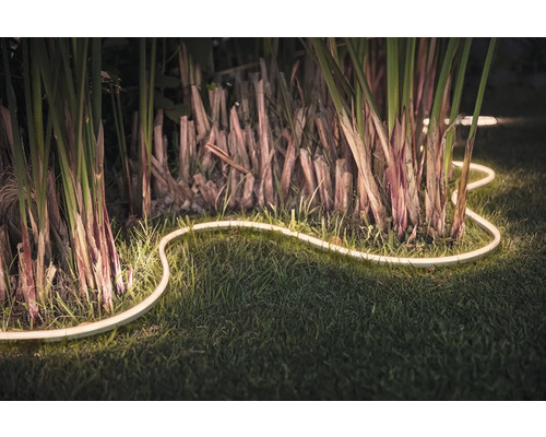 Dekoratívna LED svetelná reťaz v záhrade medzi rastlinami