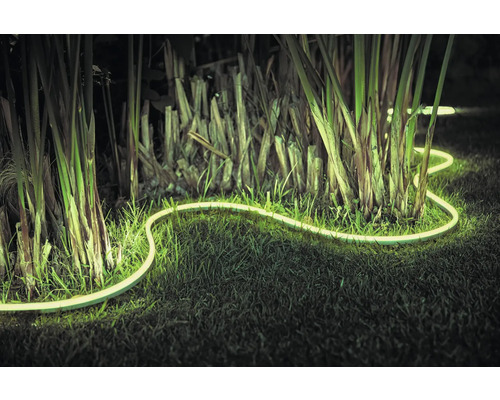 Osvetlený LED svetelný had na záhrade medzi rastlinami