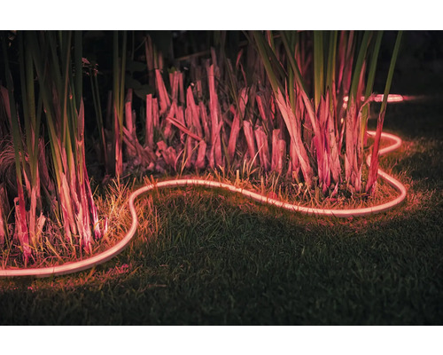 Dekoratívny svetelný had v záhrade medzi rastlinami