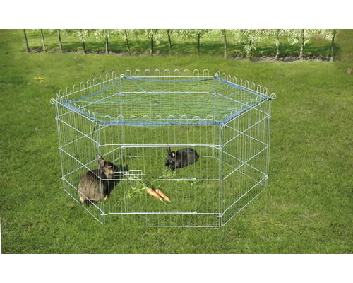 Drôtená výbehová ohrada s dvomi králikmi v záhrade